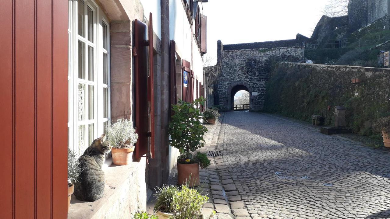 Appartamento Maison Florenchaenia Sur Le Chemin De Compostelle Saint-Jean-Pied-de-Port Esterno foto