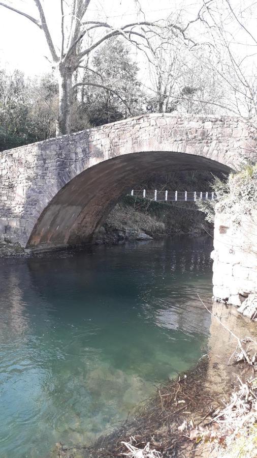 Appartamento Maison Florenchaenia Sur Le Chemin De Compostelle Saint-Jean-Pied-de-Port Esterno foto