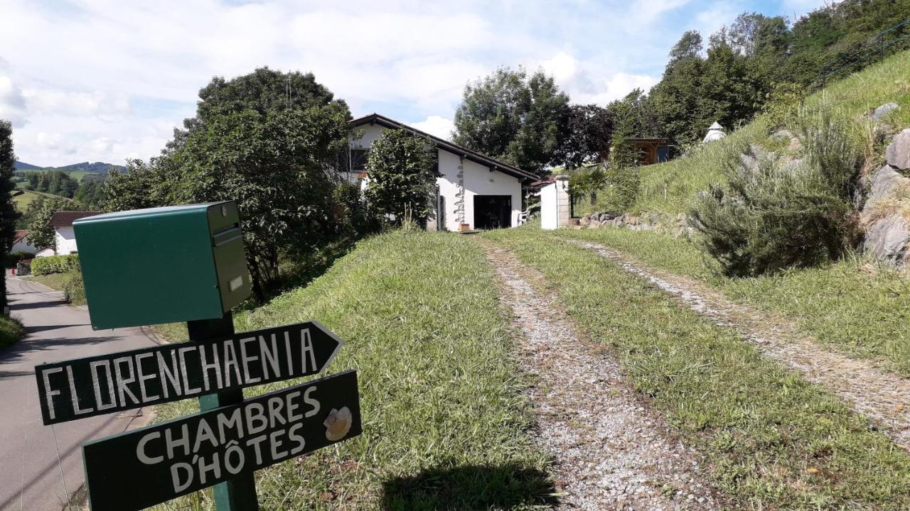 Appartamento Maison Florenchaenia Sur Le Chemin De Compostelle Saint-Jean-Pied-de-Port Esterno foto